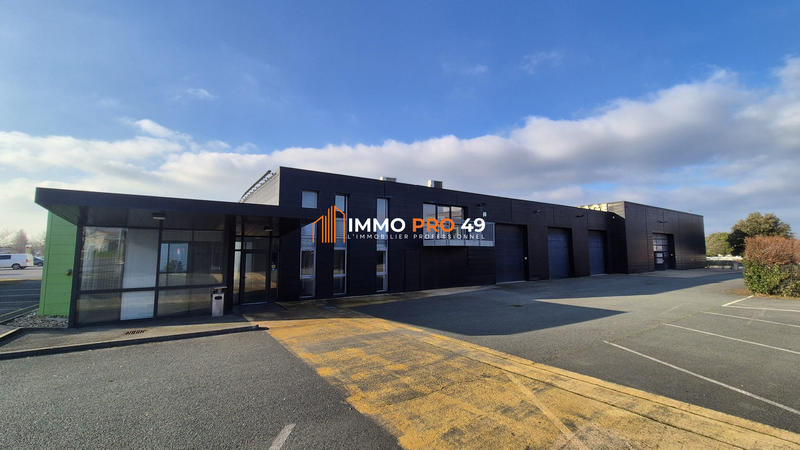 Local d'activités - 1 071 m²
