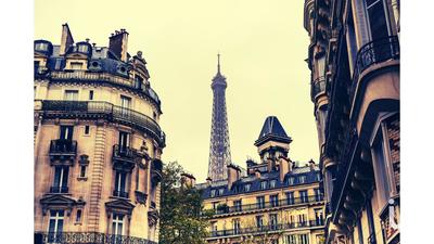 Appartement - 165 m² - 5 pièces