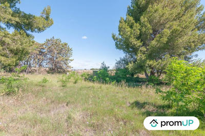 Terrain de loisirs - 569 m²