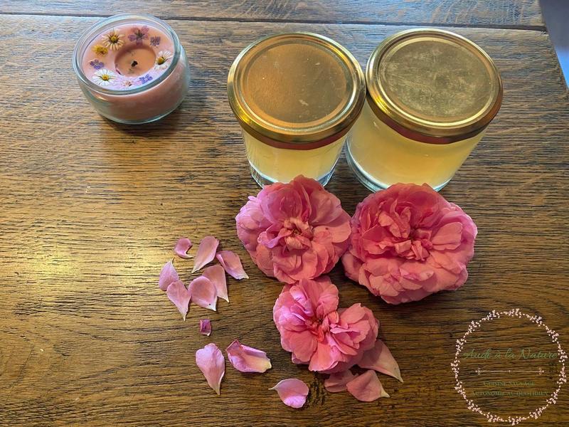 Balade nature botanique plantes sauvages