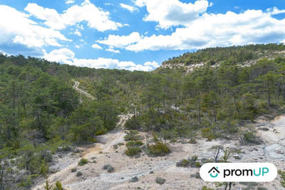 Terrain de loisirs - 92 370 m²