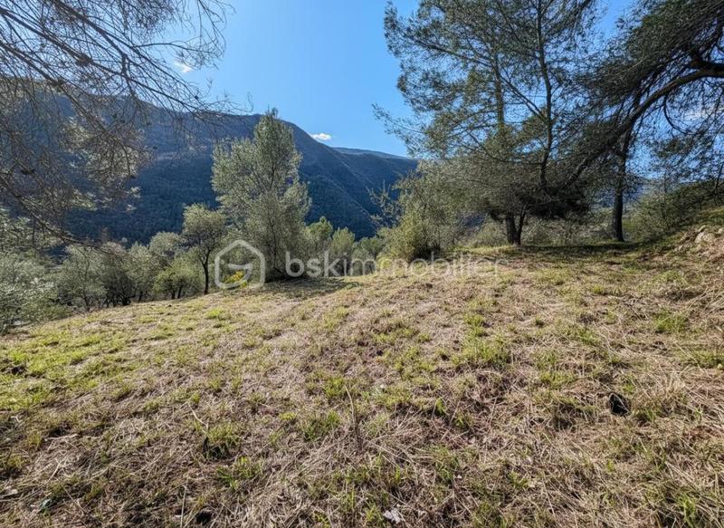 Terrain - 3 046 m²