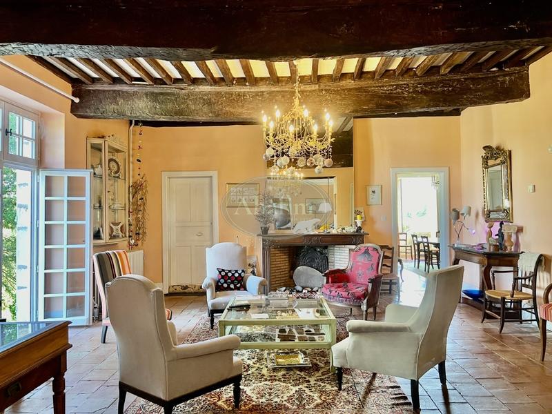 Château - 480 m² - 13 pièces