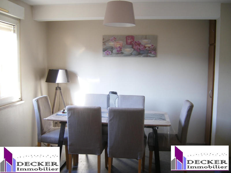 Appartement - 50 m² - 2 pièces