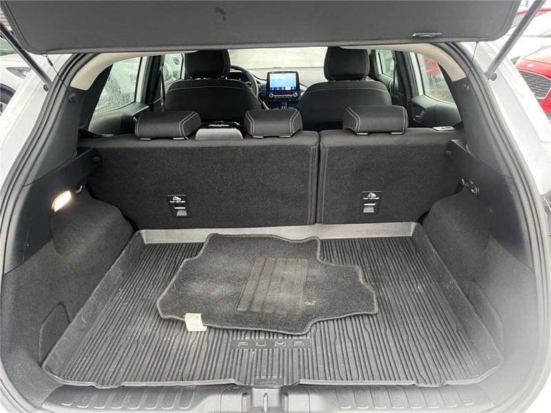 Ford Puma II 1.0 Flexifuel 125 Ch Mhev s&amp;S Bvm6 Titanium