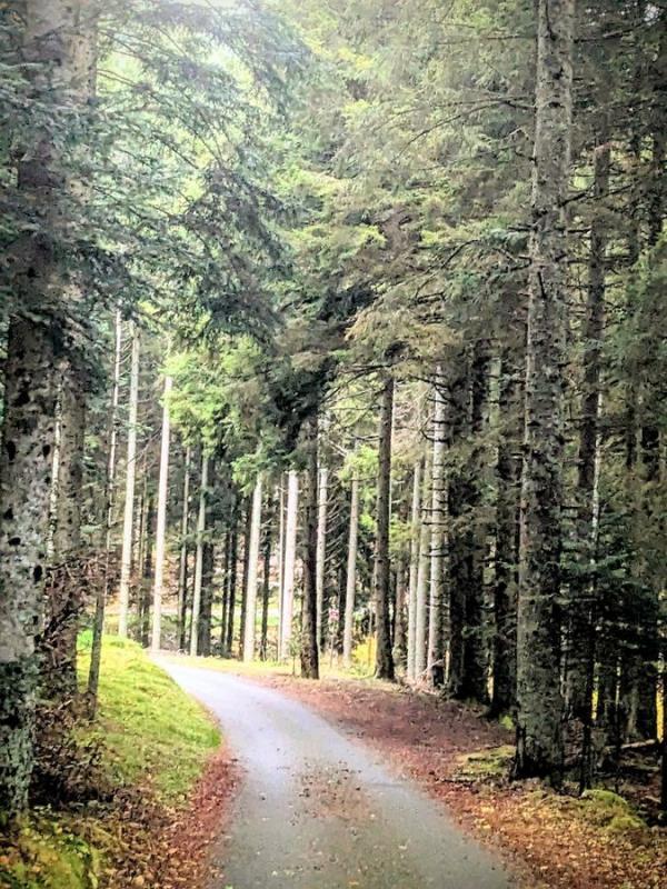 Corps de ferme - 176 m² - 7 pièces