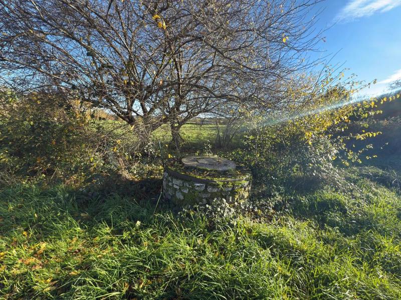 Maison - 146 m² - 6 pièces