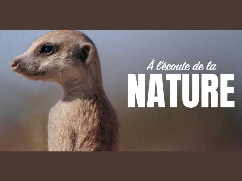 Semaine de la Biodiversité - Ciné Nature "à l'écoute de la nature : l'énigme du cri silencieux" à Saint-Ciers-sur-Gironde