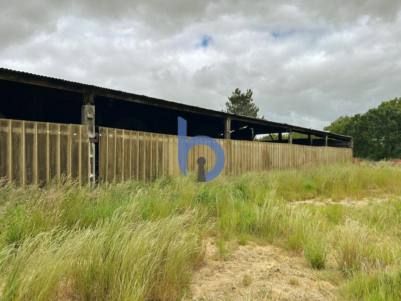 Terrain agricole - 10 000 m²