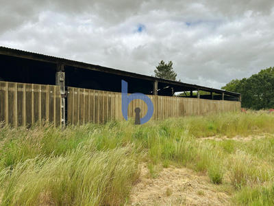 Terrain agricole - 10 000 m²