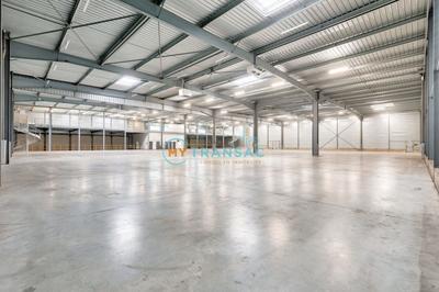 Local d'activité / Entrepôt - 3 668 m²
