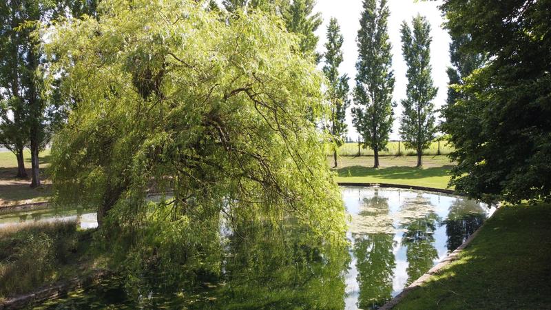 Maison ancienne - 226 m² - 10 pièces