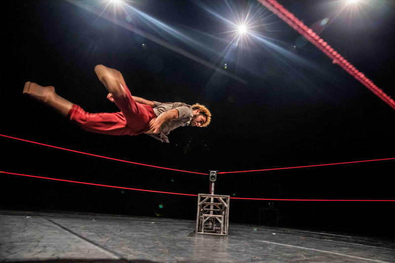 Festival Compli'Cité - Bestiaire