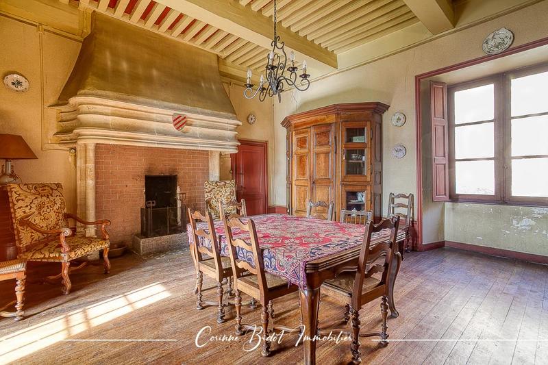 Château - 465 m² - 18 pièces