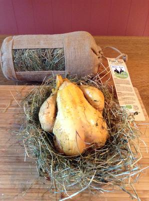 Michel et Alain Fermiers bio