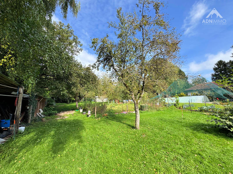Terrain - 781 m²