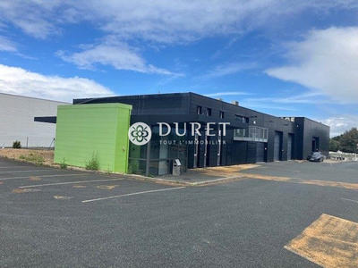 Local d'activités - 1 071 m²