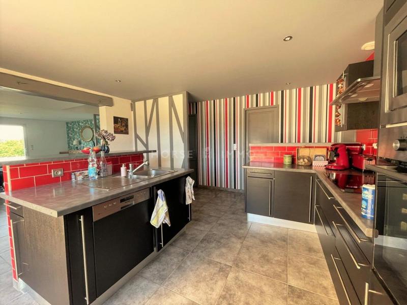 Maison de domaine équestre - 230 m² - 6 pièces