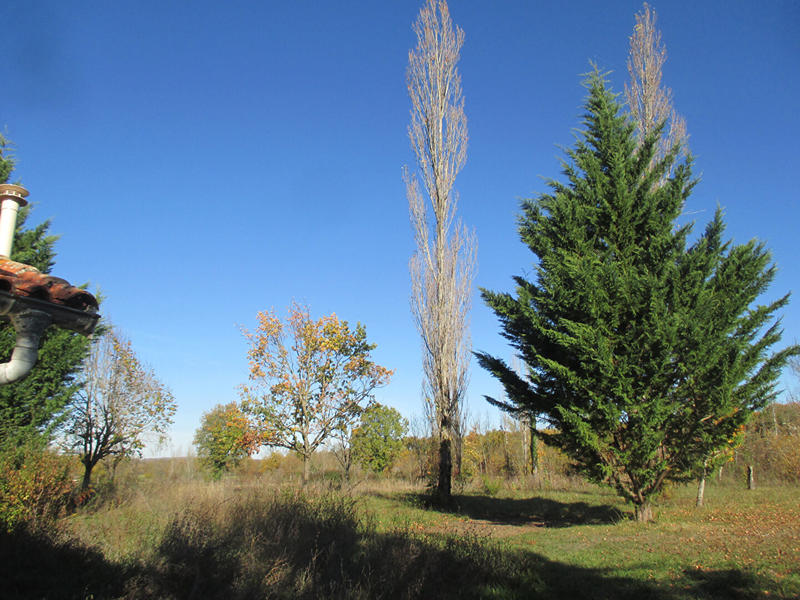 Maison - 65 m² - 3 pièces