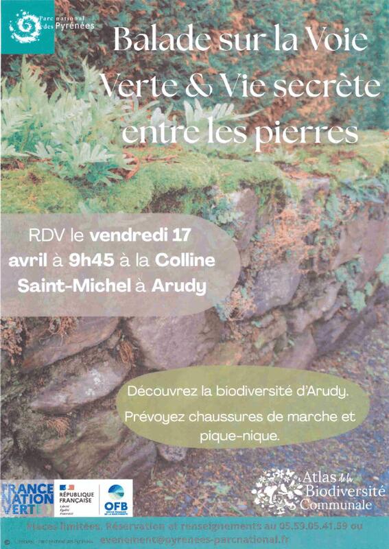 Fêtons la biodiversité : Balade sur la voie verte &amp; la vie secrète entre les pierres
