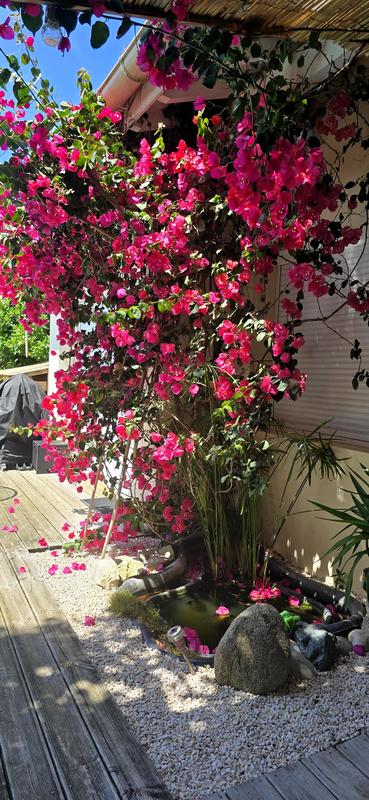 Villa - 142 m² - 4 pièces