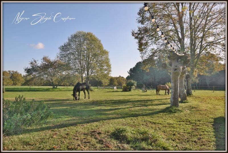 Maison de maîtres - 360 m² - 10 pièces