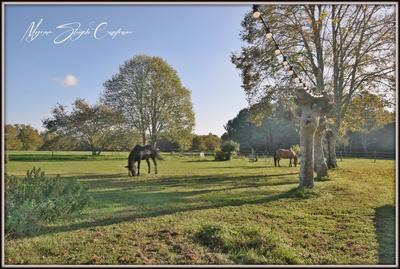 Maison de maîtres - 360 m² - 10 pièces