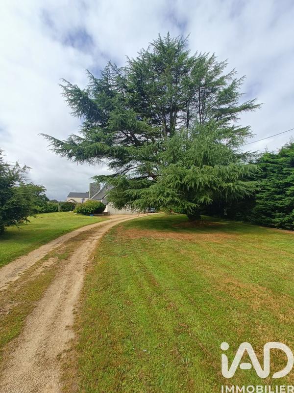 Maison de maîtres - 126 m² - 7 pièces