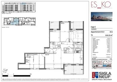 Appartement - 116 m² - 5 pièces