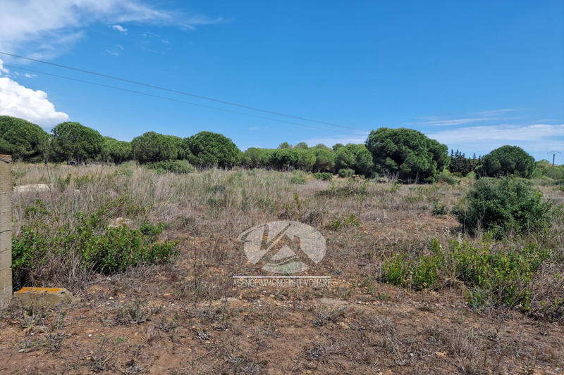 Terrain de loisirs - 1 400 m²