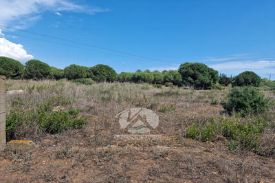 Terrain de loisirs - 1 400 m²