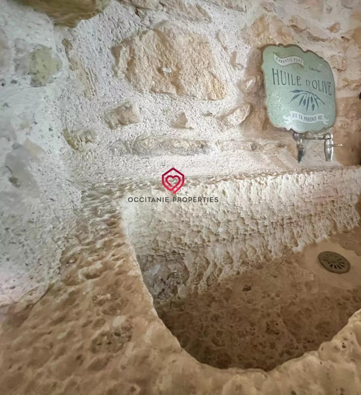 Moulin - 260 m² - 12 pièces