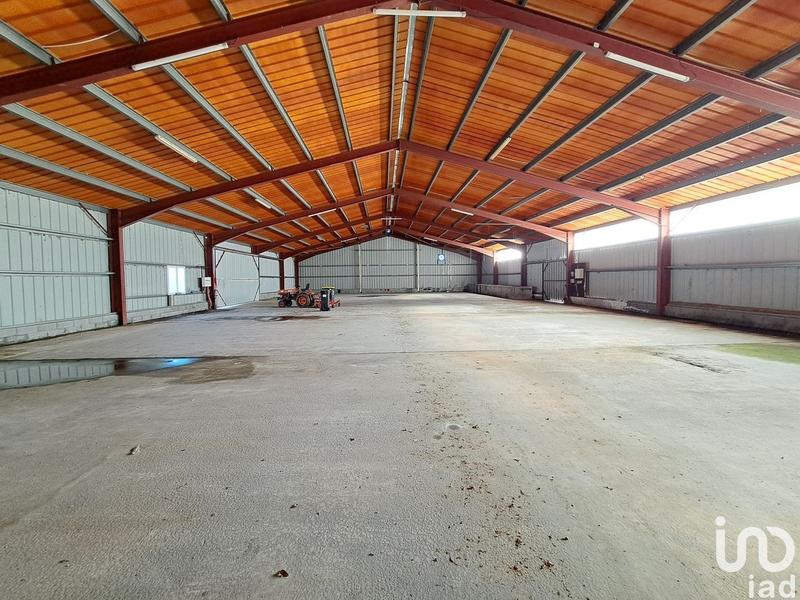 Local commercial - 1 234 m²