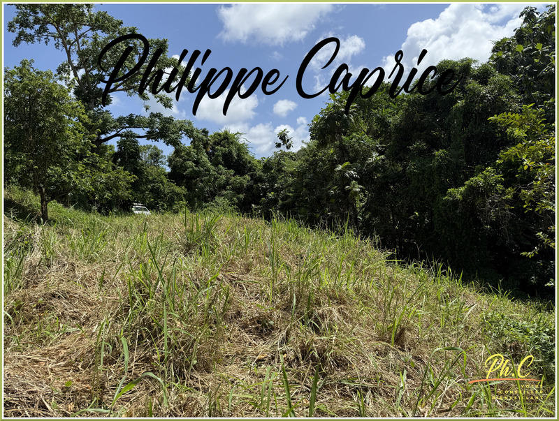 Terrain constructible - 1 015 m²