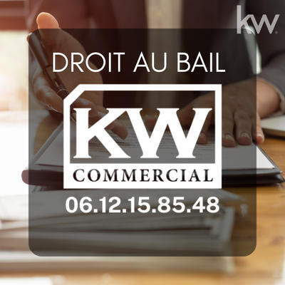 Fonds de commerce - Magasins - 150 m²