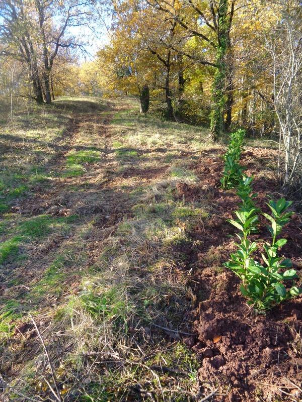 Terrain de loisirs - 1 350 m²