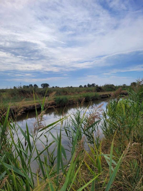 Terrain - 10 314 m²