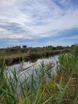 Terrain - 10 314 m²