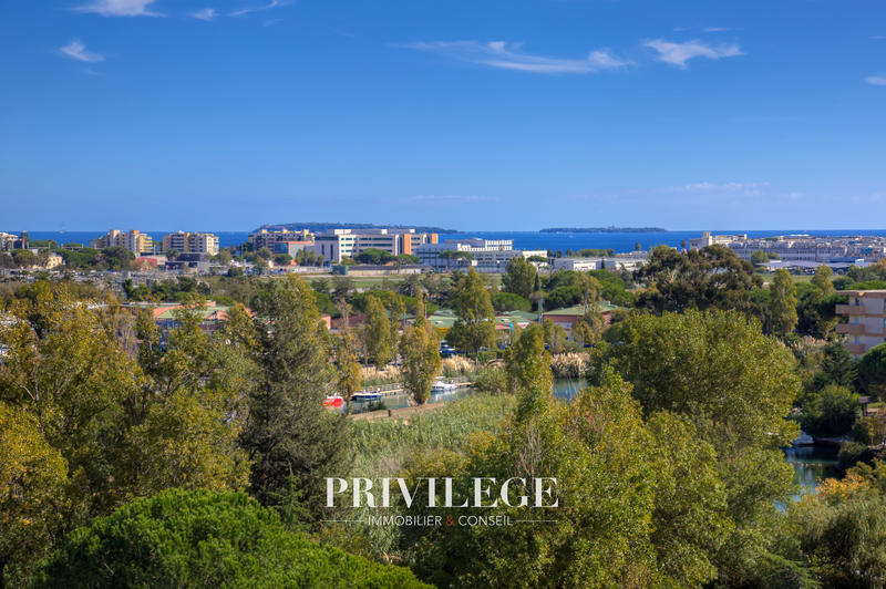 Appartement - 47 m² - 2 pièces