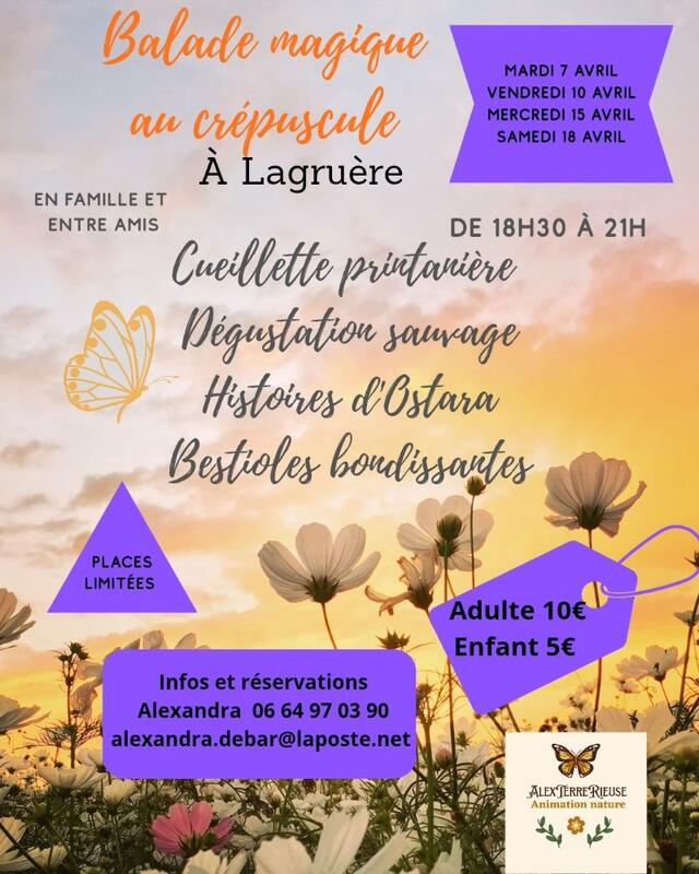 Balade magique au crépuscule