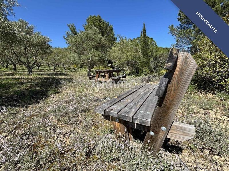 Terrain - 13 051 m²