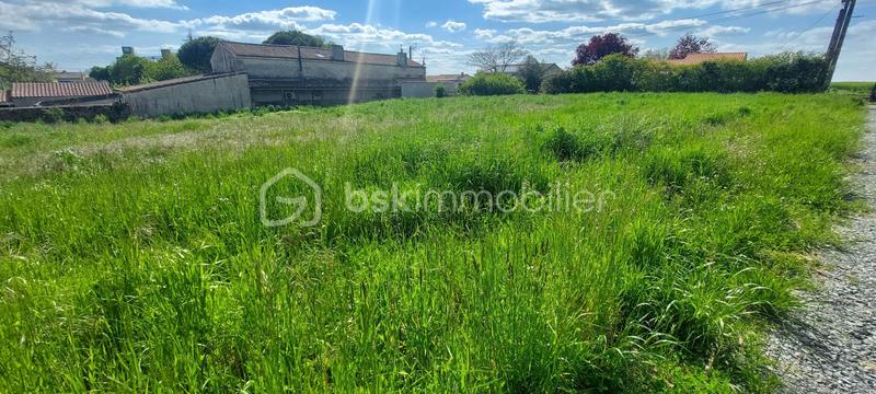 Terrain constructible - 1 300 m²