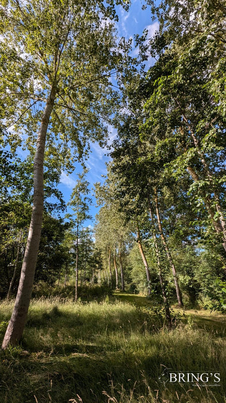 Terrain de loisirs - 47 800 m²