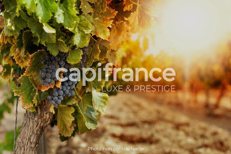 Propriété - 120 m² - 5 pièces