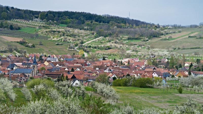 Terrain constructible - 577 m²