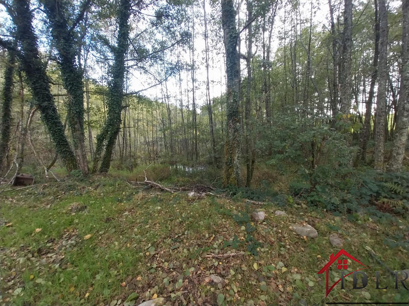 Terrain - 46 300 m²