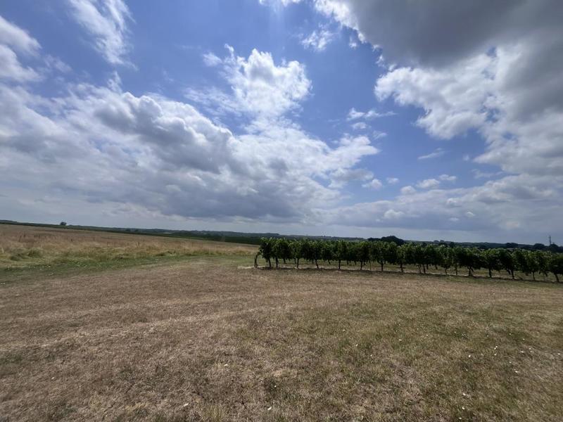 Maison - 239 m² - 4 pièces