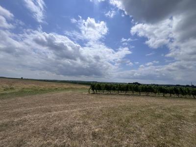 Maison - 239 m² - 4 pièces