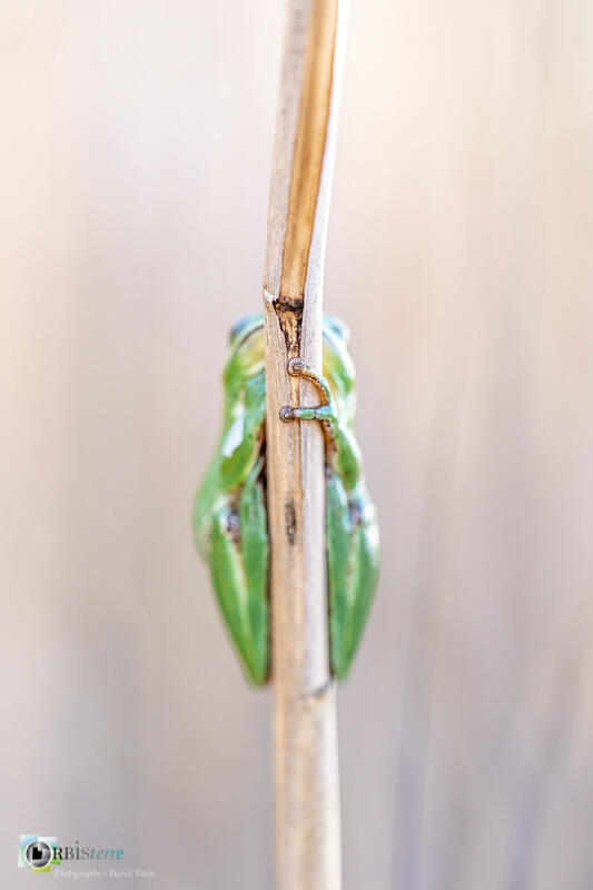 Atelier photo : les Alpilles par nature