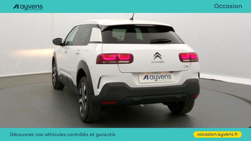 Citroën C4 Cactus BlueHDi 100ch s&amp;S Shine Business E6.d